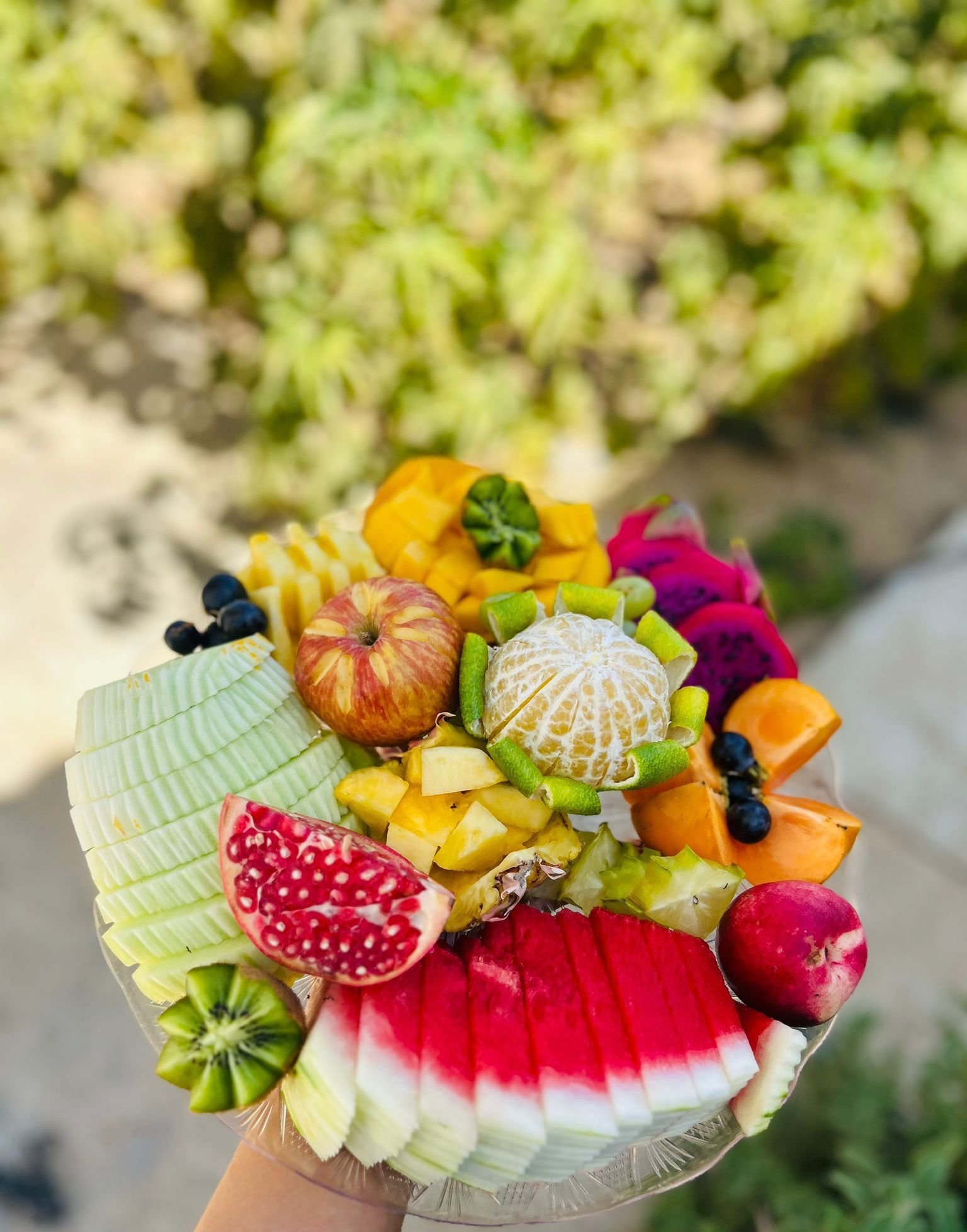 ورشه فواكه